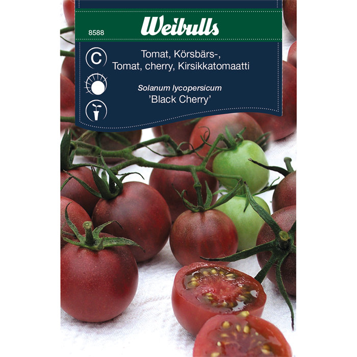 Cherrytomat 'Black cherry'